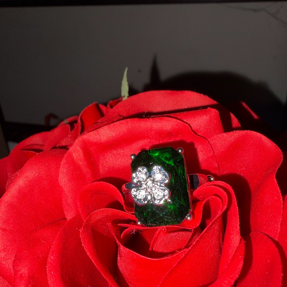 Paparazzi Green and Silver Floral Ring